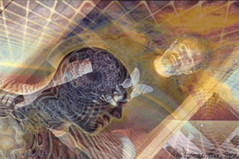 reincarnazione-uscire-dal-sistema